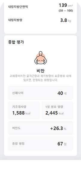 내장지방단면적